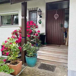  Apartment Panorama